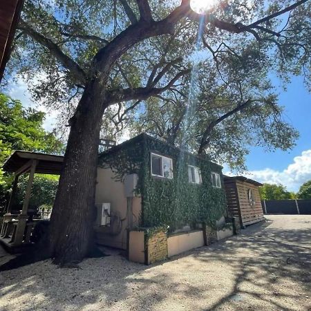 Luxurious Tiny House & Koi Garden Experience Homestead Exterior photo