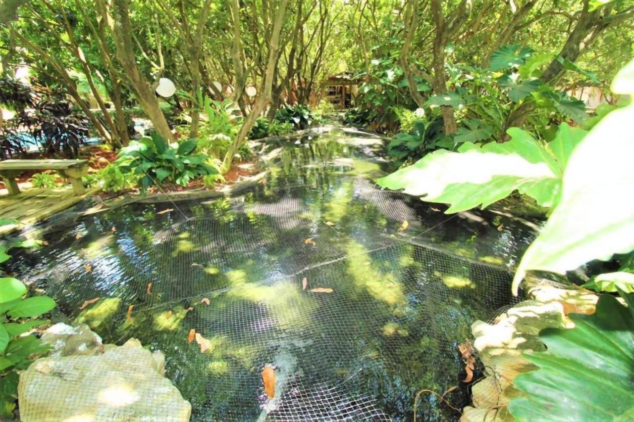 Luxurious Tiny House & Koi Garden Experience Homestead Exterior photo